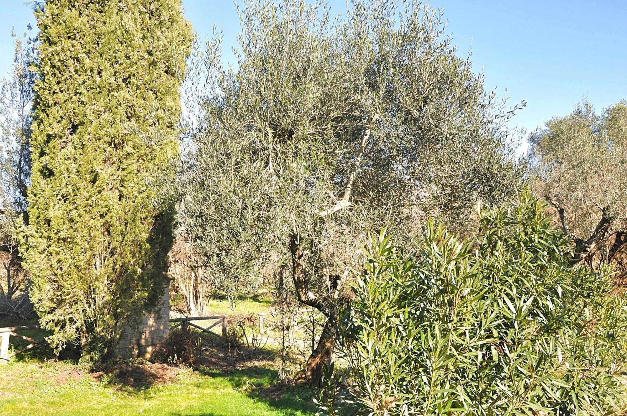 Montecasciano Primula Villa Capranica Exteriör bild